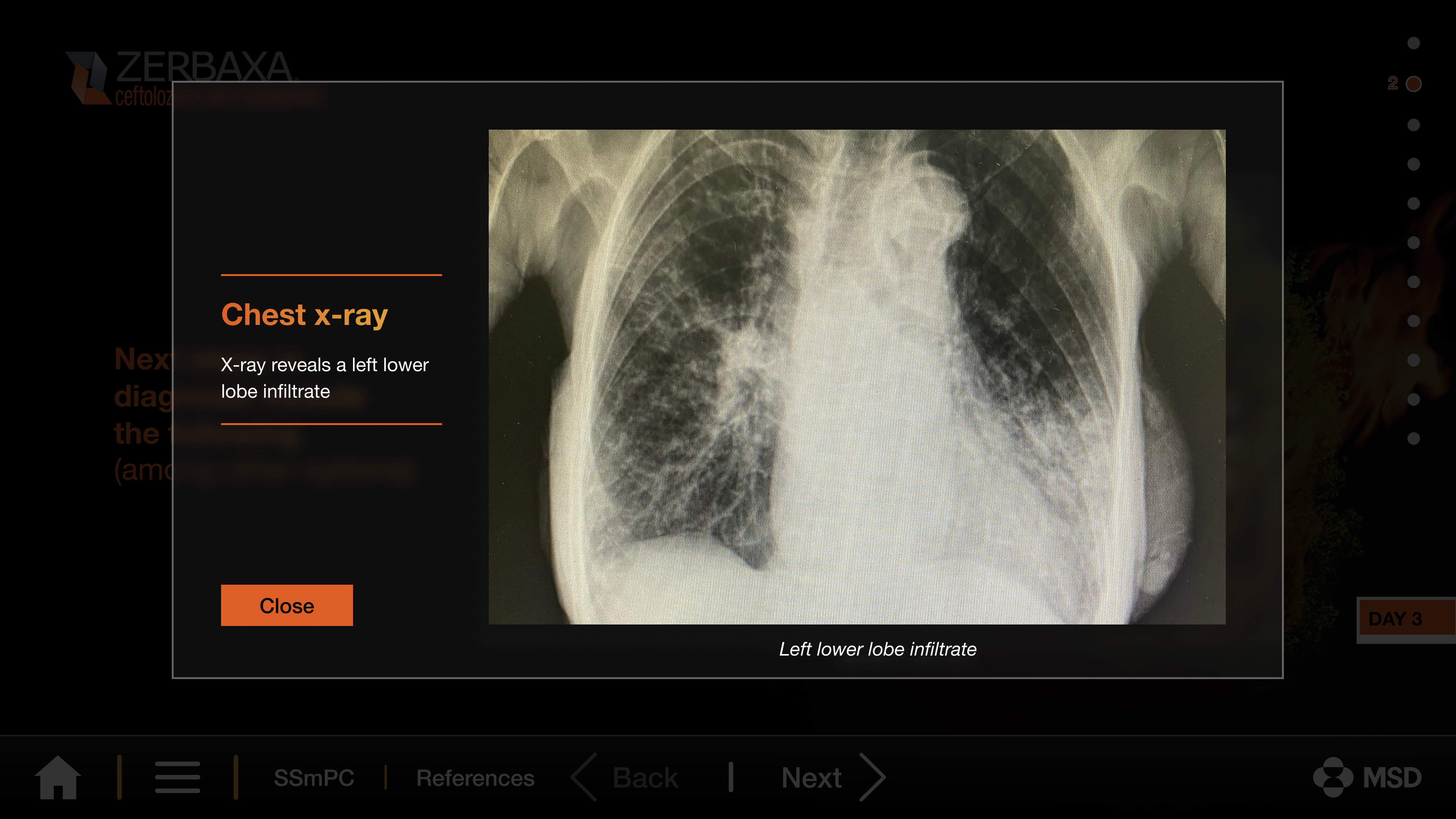 Adidas layout variation 2