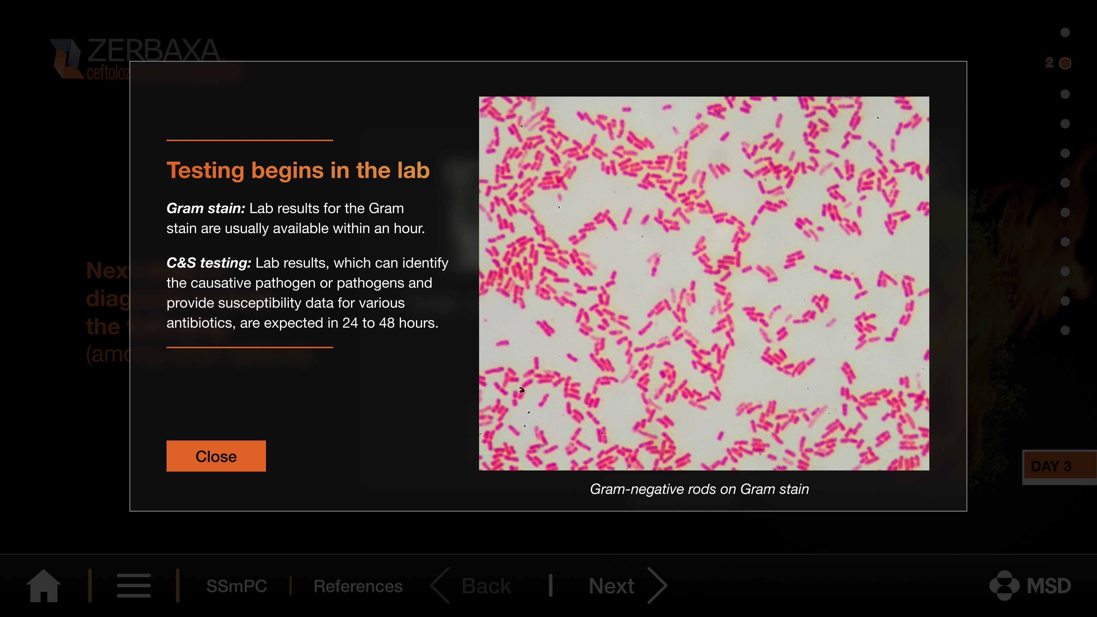 Adidas layout variation 3